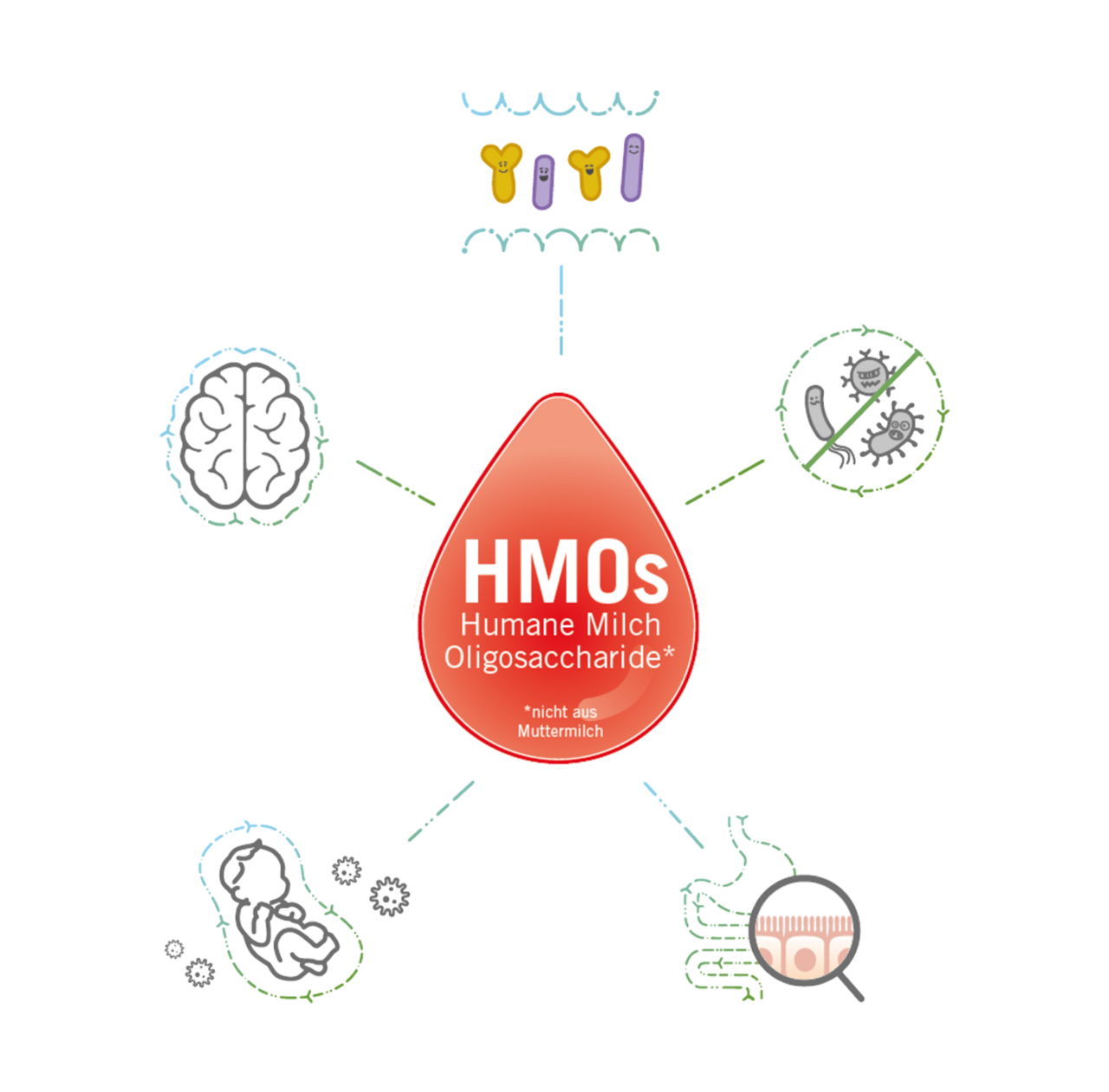 Illustration: Alle Vorteile von HMO’s
