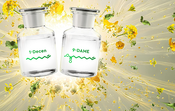 Die abgebildeten Flaschen enthalten 1-Decen und 9-DAME (Methyl-9-decenoat), beides biobasierte chemische Rohstoffe, die von Verbio Life Chemicals hergestellt werden. 